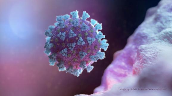 A computer image created by Nexu Science Communication together with Trinity College in Dublin, shows a model structurally representative of a betacoronavirus which is the type of virus linked to COVID-19, better known as the coronavirus.