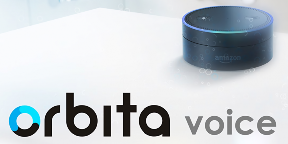 Orbita