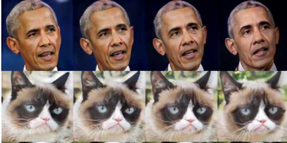 DiffAugment
