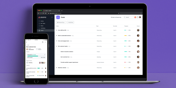 Asana Goals on deskop