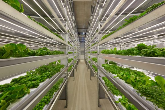iFarm